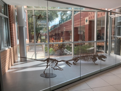 Picture of Paleontology Club