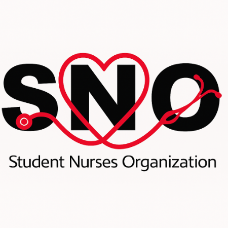Picture of LSC-Montgomery Student Nurses Organization