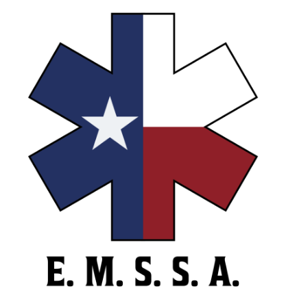 Picture of EMS Summer Cohort